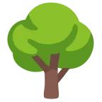 Deciduous Tree emoji on Google