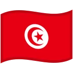 Tunisia Flag emoji on Google