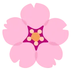 Cherry Blossom emoji on Google