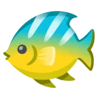 Emoji Pez tropical en Google
