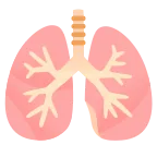 Emoji Pulmones en Google