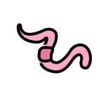 Worm emoji on OpenMoji
