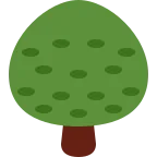 Deciduous Tree emoji on Twitter / X