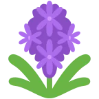 Hyacinth emoji on Twitter / X