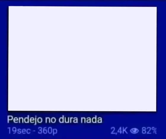 Pendejo no dura nada meme